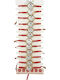 Women's Martisor Bracelet Jolie Unicorn Model Set 12 Pieces Alloy Pendant Print Adjustable Braided Cord Multicolor