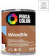 Pentacolor Holzleim Transparent 900ml