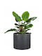 Lumarko Ghiveci De Flori Din Plastic Negru Granit 30x30 Cm