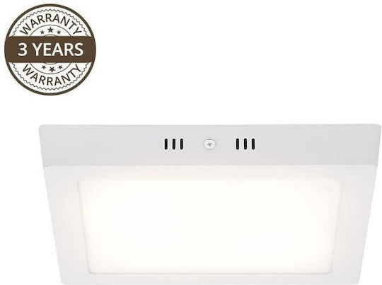 Domoletti LED-Panel 24W mit Natürliches Weiß Licht 4000K