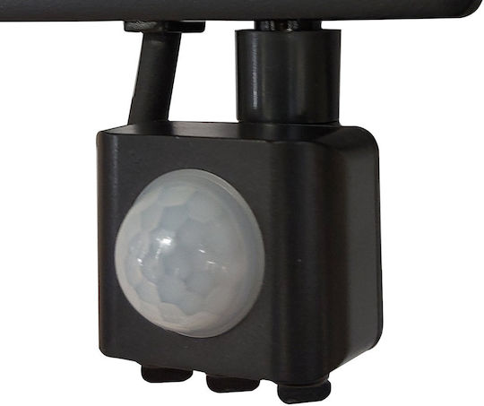 Wellmax Wasserdichter LED Flutlichter 10W Natürliches Weiß 4000K mit Bewegungssensor IP65