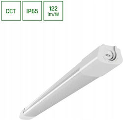 Spectrum Waterproof LED Strip 220V Warm White Light Spectrum Waterproof LED Strip 220V Warm White Light