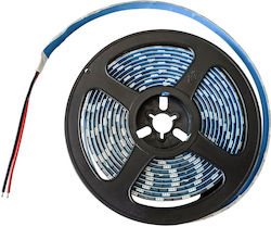Kanlux Wasserdichte LED-Streifen 12V Natürliches Weiß Licht 3m Kanlux Wasserdichte LED-Streifen 12V Natürliches Weiß Licht 3m