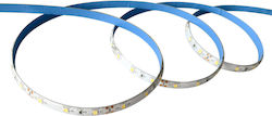 Kanlux Wasserfester LED-Streifen 12V Warmweiß 3m Kanlux Wasserfester LED-Streifen 12V Warmweiß 3m