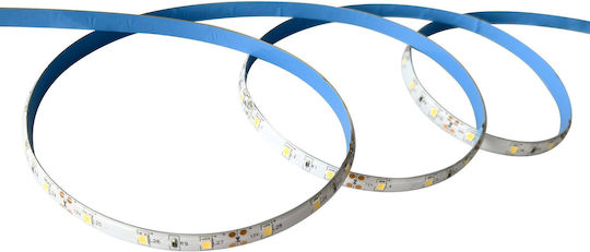 Kanlux Waterproof LED Strip 12V Warm White Light 3m SMD2835 Type
