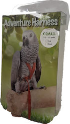 Parrot Leash Xs