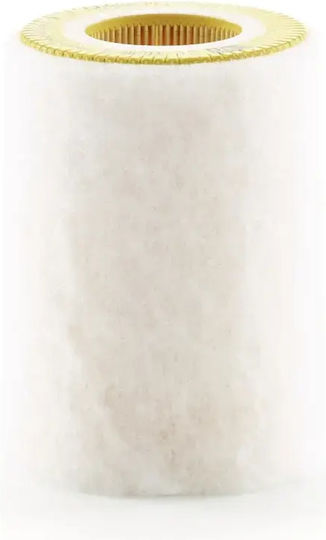 Mann-filter Air Filter C 1036/2