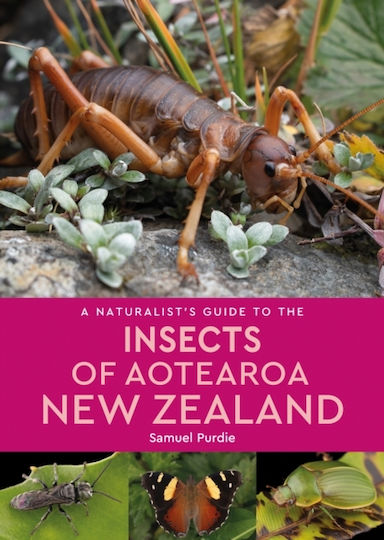 Naturalist's Guide To The Insects Of Aotearoa New Zealand - John Beaufoy Publishing Ltd - Paperback / Softback Naturalist's Guide To The Insects Of Aotearoa New Zealand - John Beaufoy Publishing Ltd - Paperback / Softback