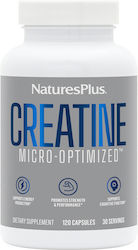 Nature's Plus Creatină monohidrată Nature's Plus 20 capsule Nature's Plus Creatină monohidrată Nature's Plus 20 capsule