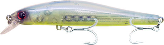 Rizor Τεχνητό Δόλωμα #06 clear gloss