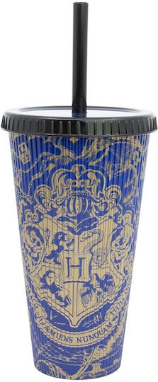 Stor Kinder Trinkflasche Harry Potter Thermos mit Stroh Mehrfarbig