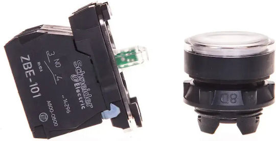Schneider Electric Industrial Type Push Button