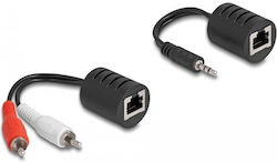 DeLock Ethernet masculin în 3.5mm / RCA 2x masculin 2 bucăți DeLock Ethernet masculin în 3.5mm / RCA 2x masculin 2 bucăți