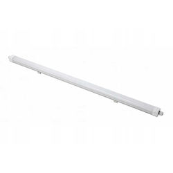 Gtv LED Kommerzielle Lineare Beleuchtung Decke 50W Naturweiß IP66 150cm Gtv LED Kommerzielle Lineare Beleuchtung Decke 50W Naturweiß IP66 150cm