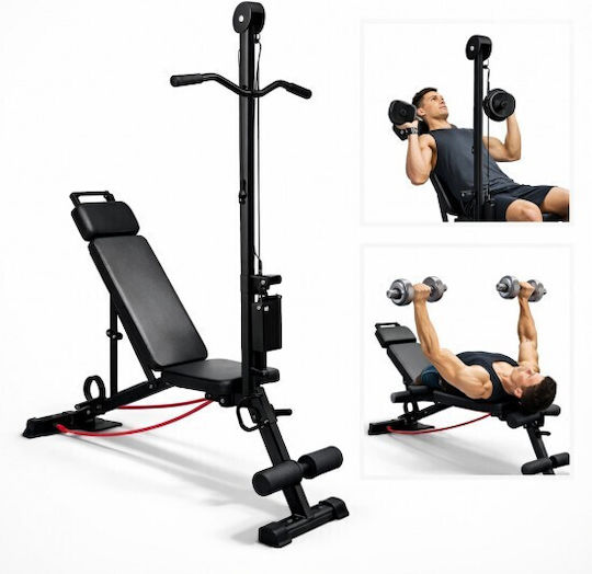 Ehome Multifunctional Workout Bench Pull-Up Bar & Pulley 12 1 Adjustable Workout Bench for Abdominal / Biceps