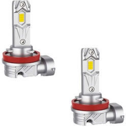 H11 LED Lamp