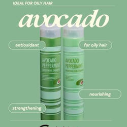 Chihtsai Conditioner 250ml Chihtsai Conditioner 250ml