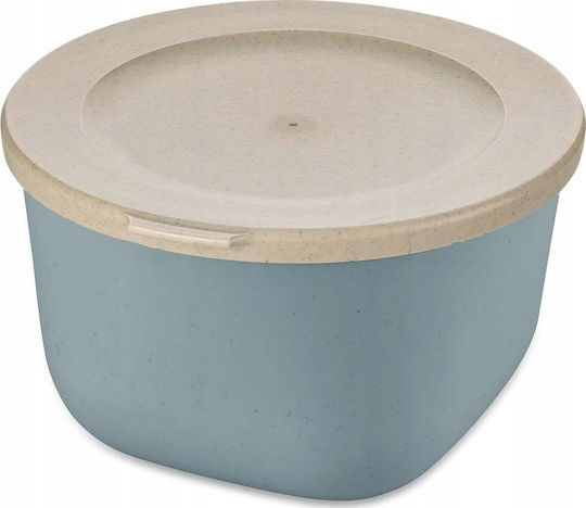Koziol Kunststoff Mittagsbox Transparent 1l