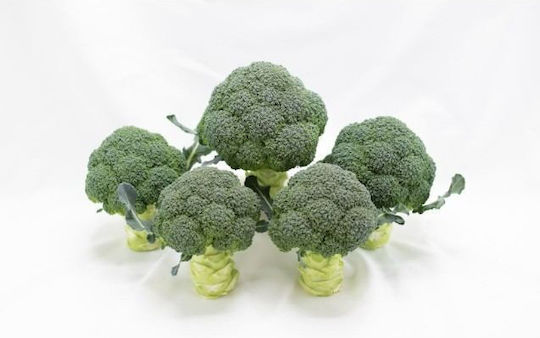 Sakata Semințe Broccoli Verzi 2500 Buc Sakata Semințe Broccoli Verzi 2500 Buc