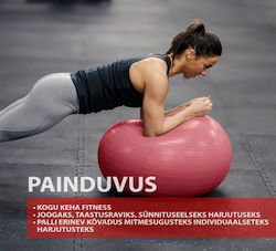 Outliner Pilates Übungsball 55cm Outliner Pilates Übungsball 55cm