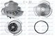 Dolz Water Pump A164