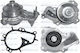 Dolz Water Pump C152
