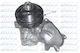 Dolz Water Pump B222