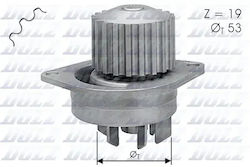 Pompa de apă Dolz C113
