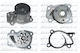 Dolz Water Pump N161