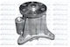 Dolz Water Pump C139