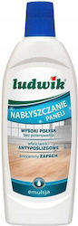 Grupa Inco Υγρό Πατώματος με Απολυμαντική Δράση 500ml Grupa Inco Υγρό Πατώματος με Απολυμαντική Δράση 500ml