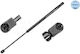 Meyle Hood Shock Absorber 140 910 0058