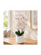 Keskor 22303-6 Künstliche Blumenkomposition Orchidee F16x60 cm Grau Lila Kunststofftopf
