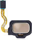 Fingerprint Reader Flex Cable Samsung Galaxy S8 S8 Plus Maple Gold