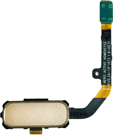 Home-Taste Flexkabel Samsung Galaxy S7 Active Sandy Gold