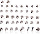 Full Screw Set Iphone 6s