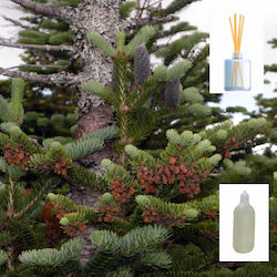 Аромат Balsam Fir Попълване Reed Diffusser 200ml