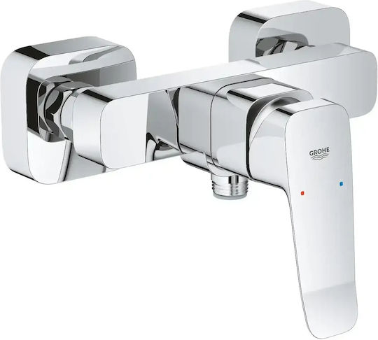 Grohe για Ντουζιέρα Ασημί