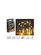 80 LED Lights 4m Warm White Battery Powered String