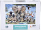 Kids Puzzle For 6+ Years