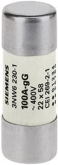 Cylindrical Fuse-link Gg Nfc 22x58mm 690v Ac 16a Without Indicator 3nw6205-1