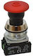 Promet Buton De Tip Industrial W0-NEF30-UDR