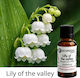 Duft für Kerze Lily of the valley 1000ml