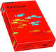 Papyrus Printing Paper Papyrus A4 80gr/m² 500 Sheets Red