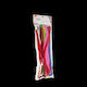 Metron Craft Συρμα Πιπας Blister 100 Τεμαχια 30x0.6cm Εντονα Χρωματα 12 Τεμαχια