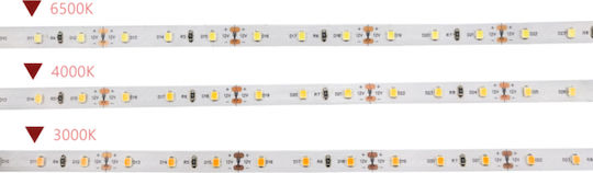 Eurolamp LED Strip 24V Natural White Light 30m SMD2835 Type