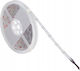 Kanlux Waterproof 24V RGB LED Strip Light 24m