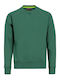 Unisex Arbeitshemden und T-Shirts Grün Remo Pro Sweatshirt Grün