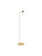 Zambelis Lights LED Floor Lamp H141cm with Warm to Cool White Light Brushed Gold, Matte White, Green