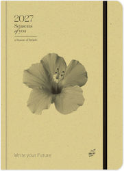 adBook Season Of You Ημερήσια Ατζέντα B5 2027 1...